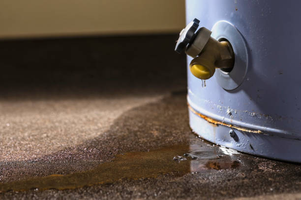 , FL Water damage restoration Company