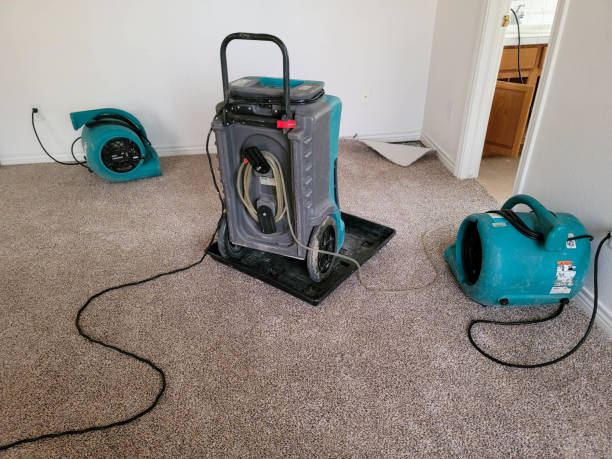 Best Sewage cleanup and water damage restoration  in Broadview Park, FL