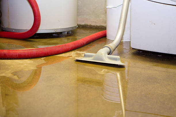 Best Emergency water damage restoration  in Broadview Park, FL